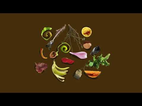 Campaña TV Gobierno de Navarra — MonkeyToons